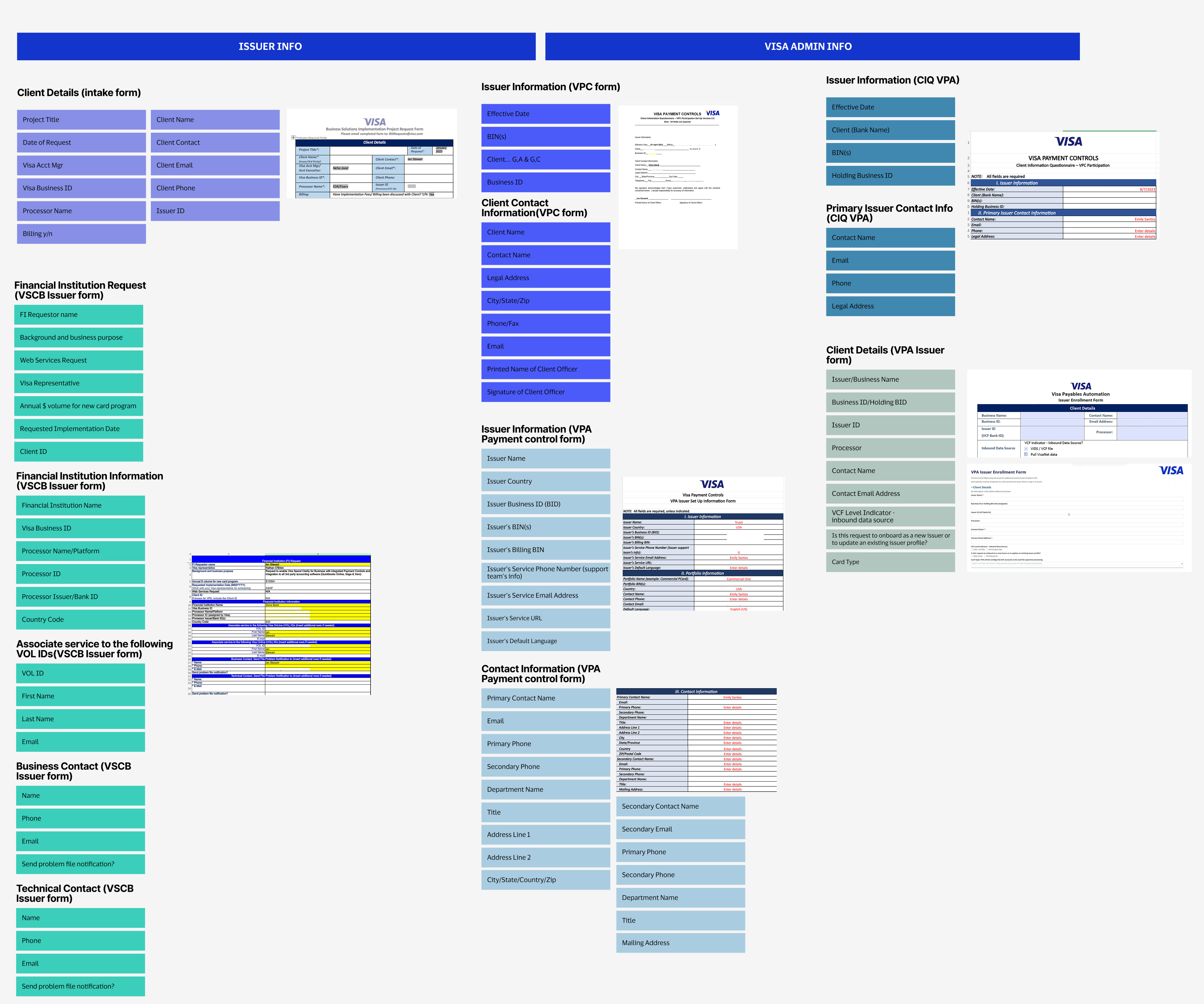Dissecting legacy issuer and admin forms into categorized fields